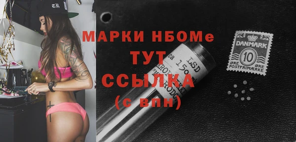 стаф Алзамай