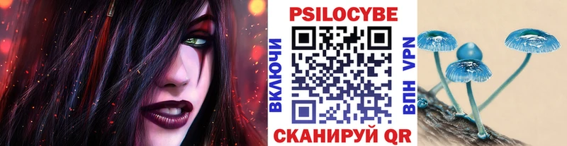 kraken зеркало  Дмитров  Галлюциногенные грибы прущие грибы  закладки 